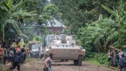 Murisanga