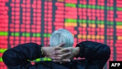 一名投资者在中国浙江省杭州市的一个证券交易所里观看电子屏幕显示的股市动态。（2024年2月8日）