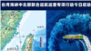 中国福建省海事局2023年4月5日在其微信公众号发布消息：“今天启动台湾海峡中北部联合巡航巡查行动”。