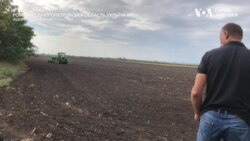 Історії родини вимушених переселенців, які повернулись засівати поля біля лінії фронту. Відео