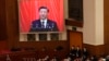 世界媒体看中国：权力与改革的涨落
