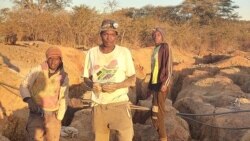 Udaba Esilwethulelwe NguEzra Tshisa Sibanda