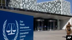 На думку експертки, окрім Шойгу і Герасимова можуть бути й інші особи, справи яких суд розглядає за тими самими звинуваченнями. Фото: AP