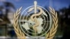 世卫组织：首起人类感染H5N2禽流感确诊病例并非因其而死亡