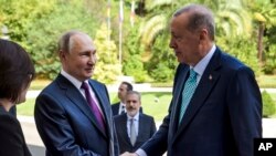 Президент Туреччини Реджеп Таїп Ердоган провів перемовини з російським президентом Путіним 4 вересня. Йшлося, зокрема, про експорт зерна з українських портів у Чорному морі.