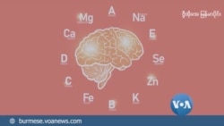 လူ့ကိုယ်ခန္ဓာထဲက Trace Elements 