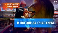 В погоне за счастьем