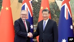 中国领导人习近平在北京人大会堂会晤到访的澳大利亚总理阿尔巴尼斯。（2023年11月6日）
