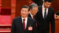 VOA连线：“胡锦涛事件”如何看？ 杨建利: 说20大政变不准确