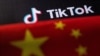 法国议员敦促对TikTok发出最后通牒