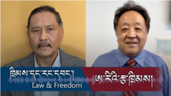 ཁྲིམས་དང་རང་དབང་གི་བོད་དོན་དག་ཐེར་ལས་རིམ། བོད་ཀྱི་སྲོལ་རྒྱུན་རིག་གཞུང་དང་འབྲེལ་བས་རྒྱ་ནག་གིས་སྲིད་ཇུས། 