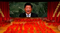 专访诺丁：谈中国外交思想与战狼外交