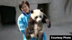成都研究基金会的研究员侯荣博士