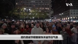 纽约圣诞节橱窗装饰洋溢节日气息