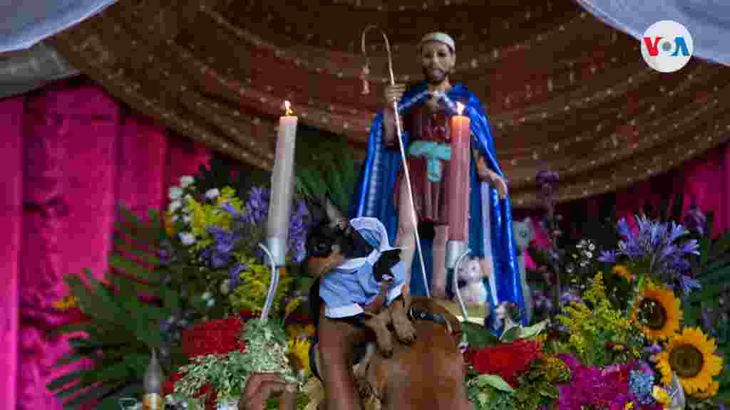 Ante San Lazaro presentan las mascotas los pobladores de la localidad.
