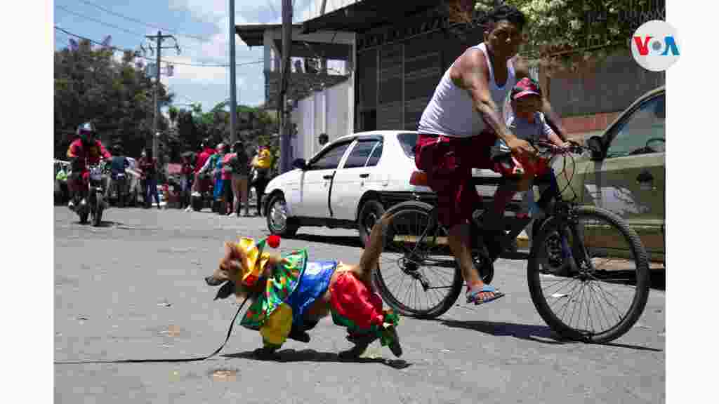 Un historiador comenta que la tradición surgió en honor a los indígenas que habitan en la localidad de Monimbó.