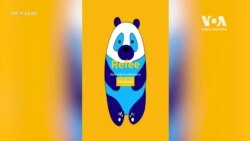 Українські школярки створили застосунок для дітей-біженців. Відео