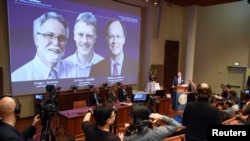 瑞典诺贝尔委员会在斯德哥尔摩宣布三位科学家荣获2019年的诺贝尔生理学和医学奖。（2019年10月7日）