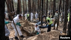专家们在伊久姆的一处森林墓地进行挖掘工作（2022年9月18号）。