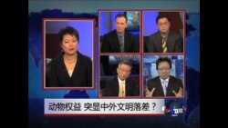 焦点对话：动物权益，突显中外文明落差？