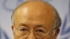 IAEA提出对伊朗朝鲜核项目担忧