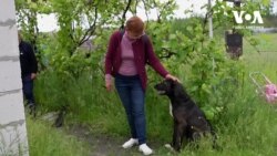 Життя в умовах війни: історії людей з різних куточків України. Відео