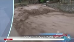 اخبار شامگاهی