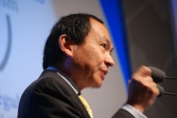 斯坦福大学高级研究员弗朗西斯·福山