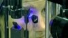 An eye examination
