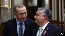 Президент Туреччини Реджеп Таїп Ердоган і прем’єр-міністр Угорщини Віктор Орбан під час зустрічі в Анкарі, 16 березня 2023 року. Туреччина днями погодила вступ Швеції до НАТО, й Угорщина є останньою країною альянсу, яка має це зробити. (Фото: Президентство Туреччини через AP)