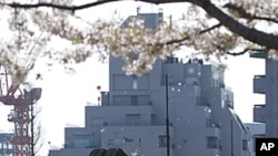 4月12日在日本防卫省内樱花树下部署的爱国者3号地对空反导导弹