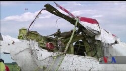 400 мільйонів доларів відсудили родичі загиблих у збитому над Україною літаку MH17. Відео