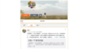 蔺玉红微博主页的截图