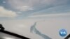 World's Biggest Iceberg on Collision Course With Wildlife Haven 