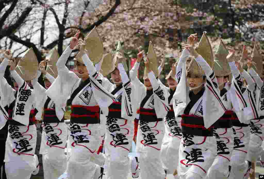 2017年4月2日,在东京的墨田公园樱花节期间,穿着传统服饰的女性表演日本传统舞蹈。