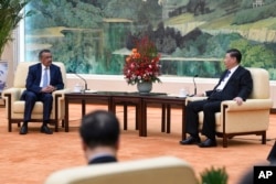 中国国家主席习近平在北京人大会堂会见到访的世卫组织总干事谭德塞。（2020年1月28日）
