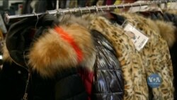 Заборона продажу виробів з хутра тварин у Каліфорнії: що кажуть захисники тварин та противники закону. Відео