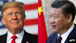 特朗普和习近平 (合成照片)