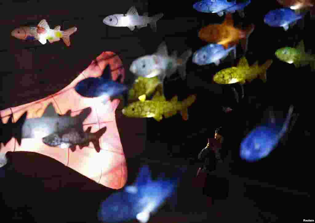 韩国灯节，首尔市中心，河里的鱼形灯笼，有人留影（2013年11月）