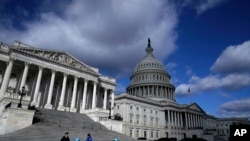 У США є кілька організацій української діаспори, які працюють з законодавцями, але заснування цього комітету закриває важливу прогалину, говорять їхні представники. 