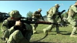 Реформа ЗСУ незабаром отримає "дорожню карту" - Полторак у США. Відео