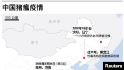 中国猪瘟疫情