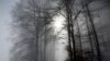 16x9 Image