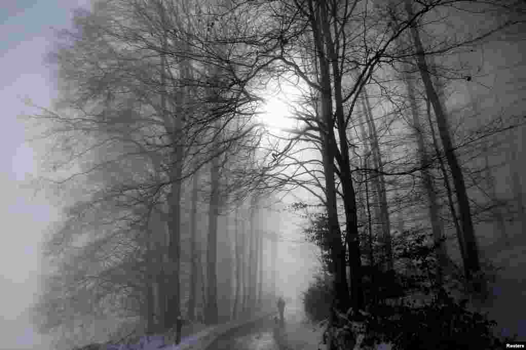 A man walks with his dog through a forest during a foggy morning in Bern, Switzerland.