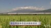 中日两国争夺亚洲高铁项目