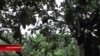 16x9 Image