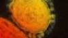 Hospitals Watch Diseases, Plan For Emergencies