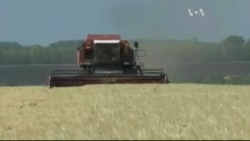 Як Україні заробити мільярди на харчах для світу - розказали у Вашингтоні. Відео