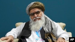 Ông Matiul Haq Khalis, lãnh đạo Cơ quan Bảo vệ Môi trường Quốc gia Afghanistan.