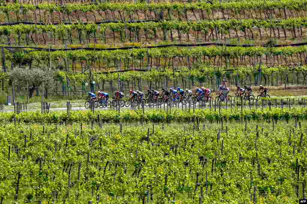Riders cycle through vineyards near Peschiera del Garda during the 18th stage of the Giro d'Italia 2021 cycling race, 231km between Rovereto and Stradella, Italy.